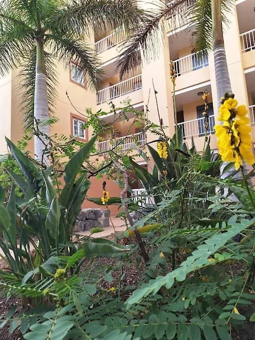 Tropical Apartment - Heated Pool Palm-mar