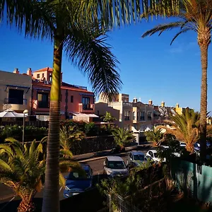 Beautiful Palm-mar